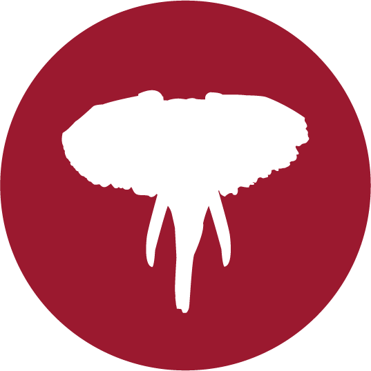 Elephant Protection Icon